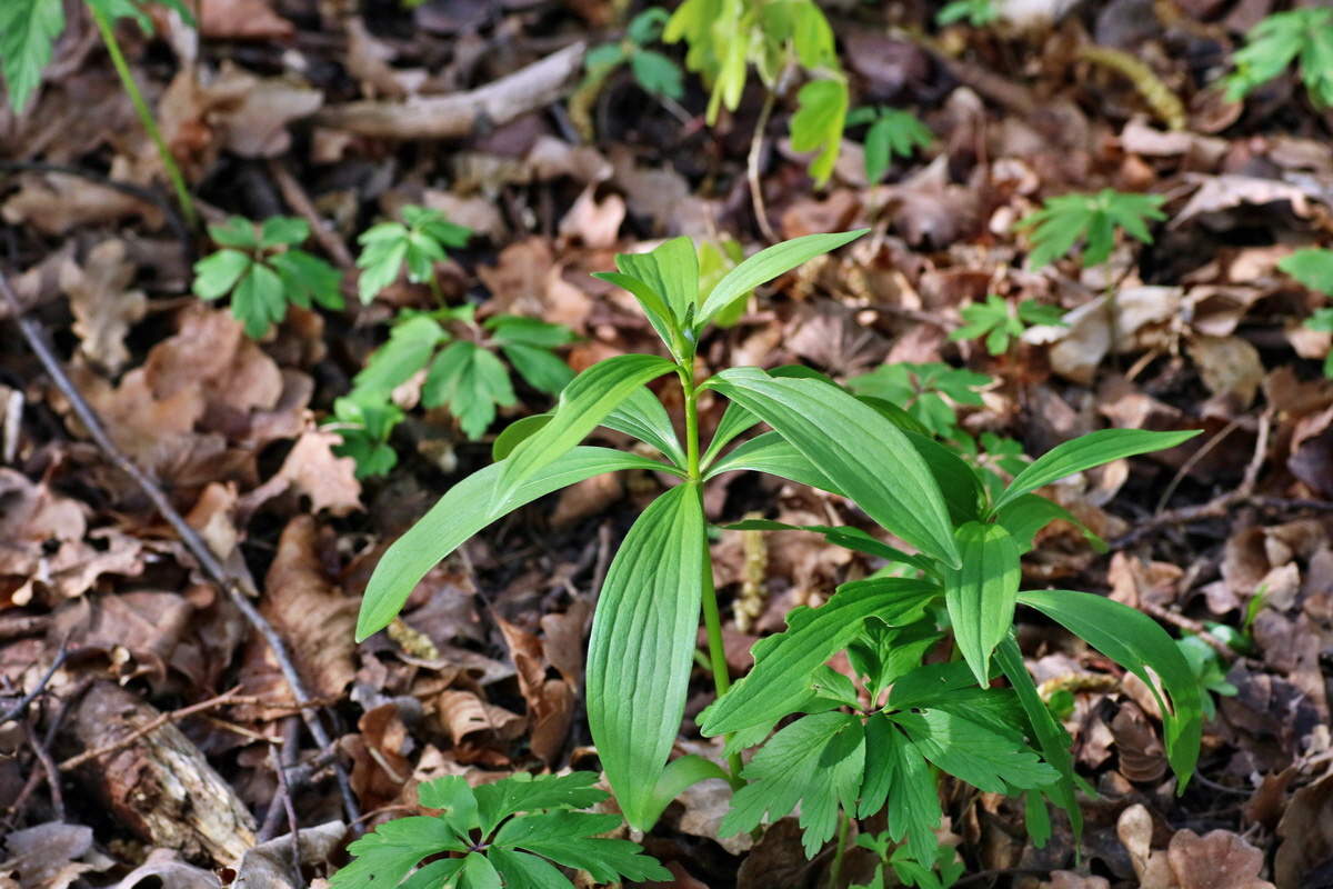 IMG-2016-04-29-00012961p_Bildgr��e �ndern