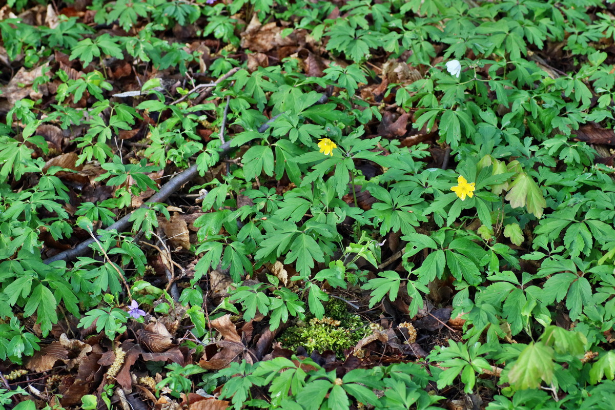 IMG-2016-04-29-00012967p_Bildgr��e �ndern