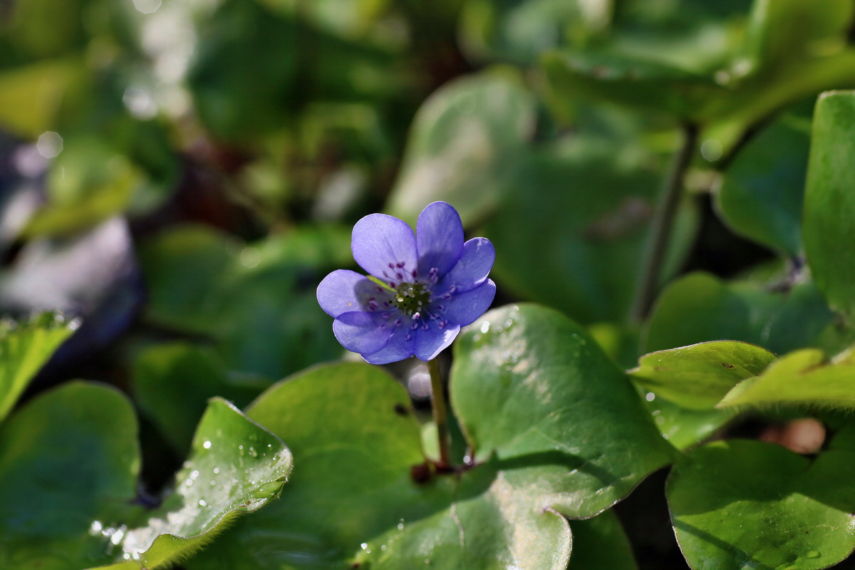 IMG-2016-04-29-00012969p_Bildgr��e �ndern