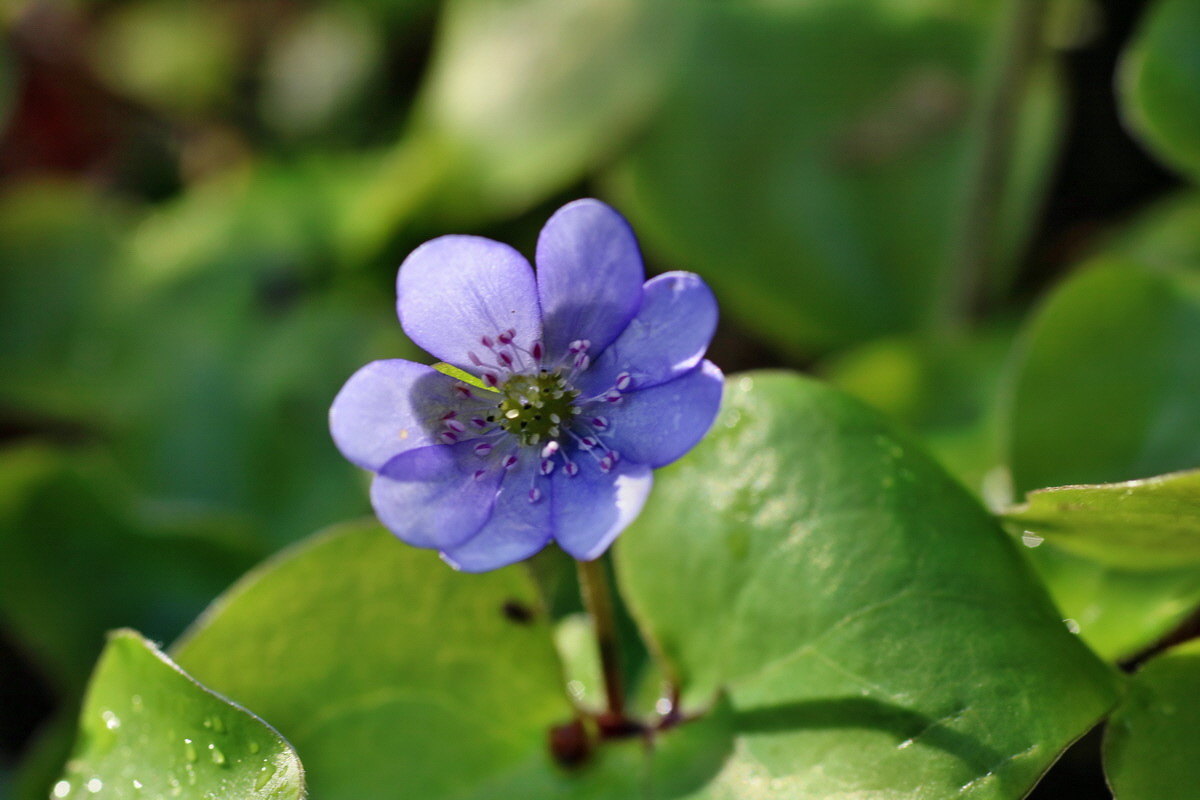 IMG-2016-04-29-00012971p_Bildgr��e �ndern