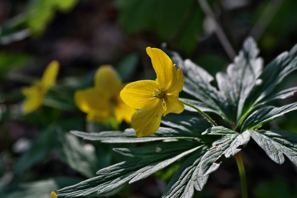 IMG-2016-04-29-00012972p_Bildgr��e �ndern