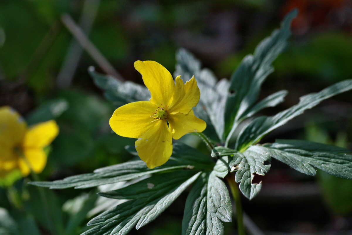 IMG-2016-04-29-00012974p_Bildgr��e �ndern