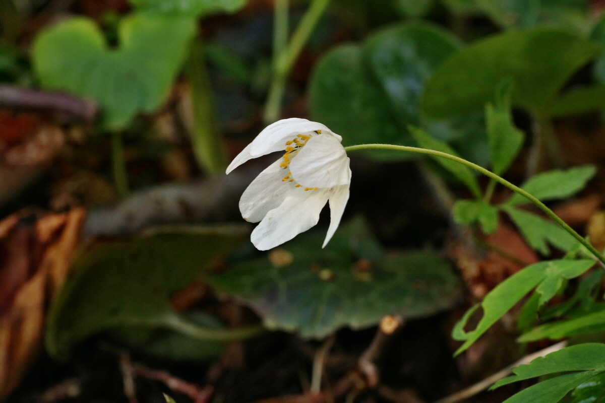 IMG-2016-04-29-00012977p_Bildgr��e �ndern