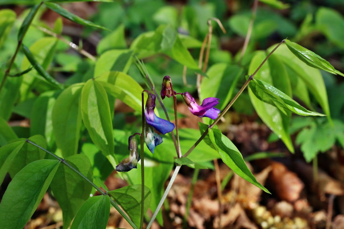 IMG-2016-04-29-00012978p_Bildgr��e �ndern