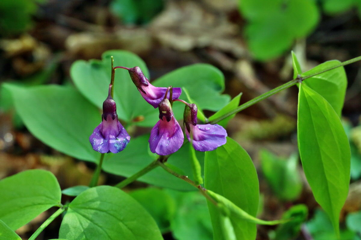 IMG-2016-04-29-00012981p_Bildgr��e �ndern