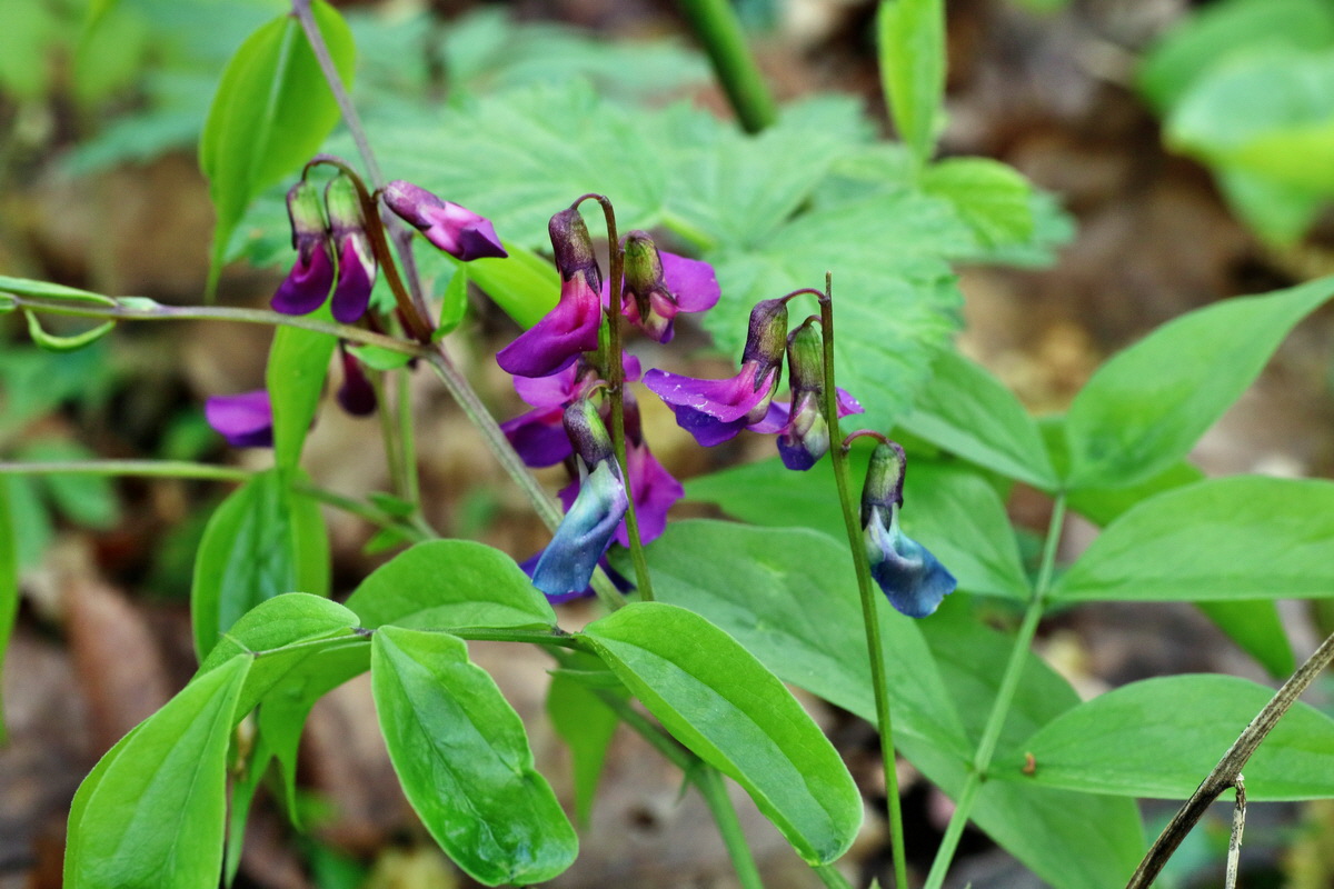 IMG-2016-04-29-00012983p_Bildgr��e �ndern