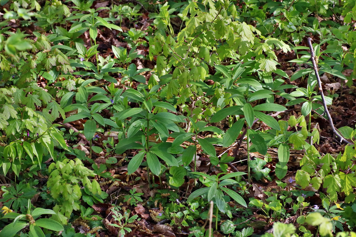 IMG-2016-04-29-00012985p_Bildgr��e �ndern