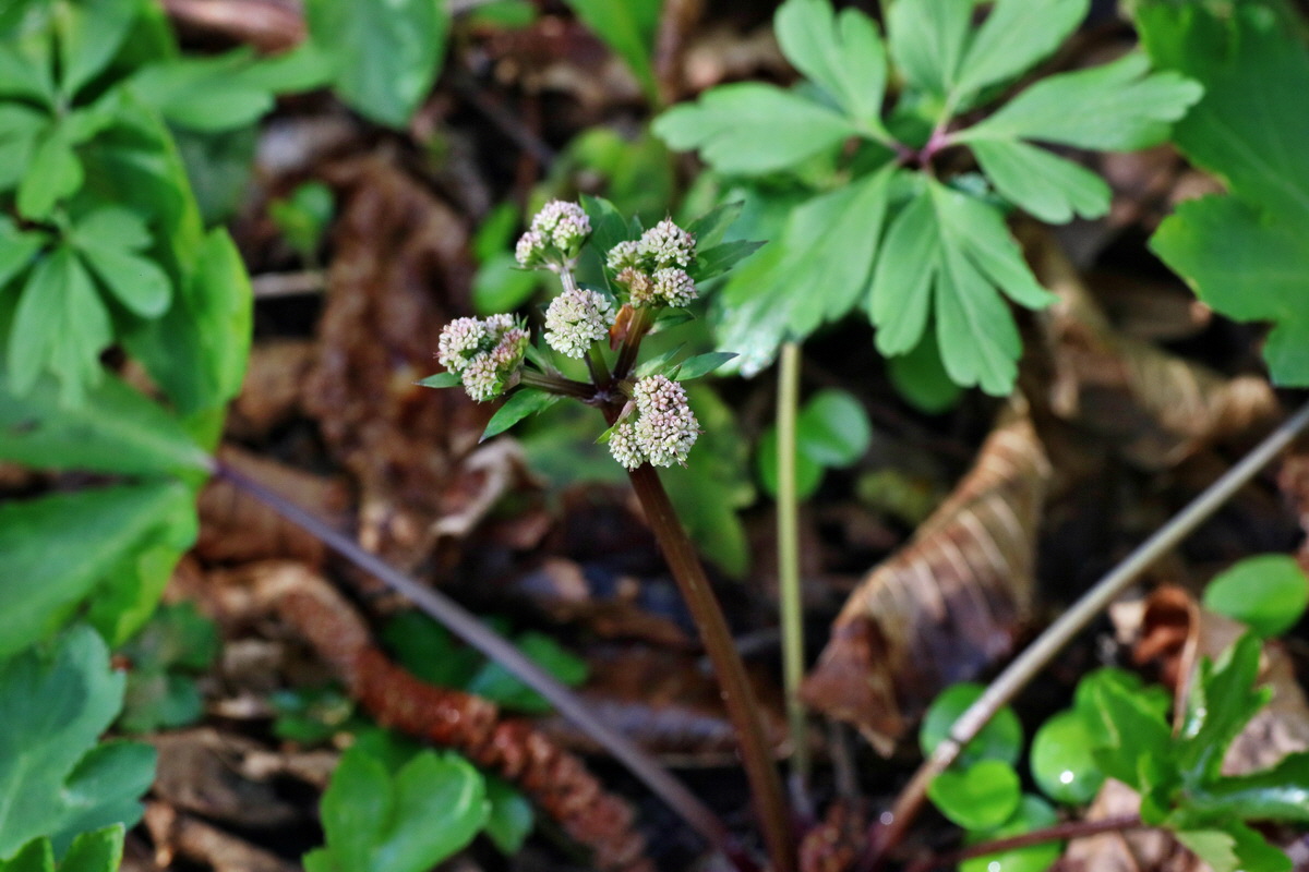 IMG-2016-04-29-00012988p_Bildgr��e �ndern