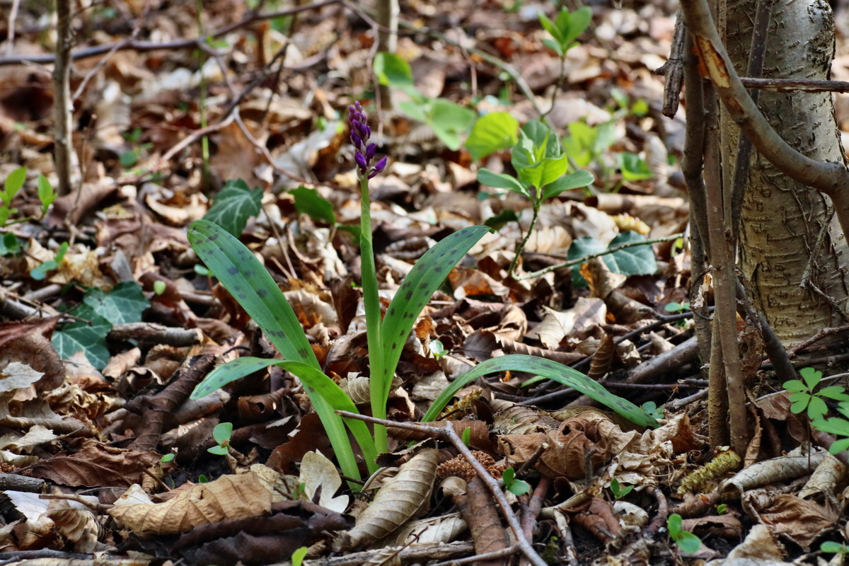 IMG-2016-04-29-00012994p_Bildgr��e �ndern