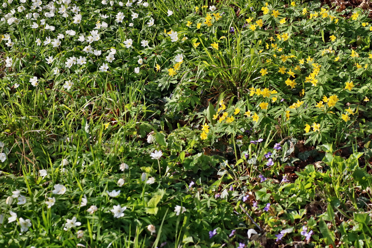 IMG-2016-04-29-00012996p_Bildgr��e �ndern