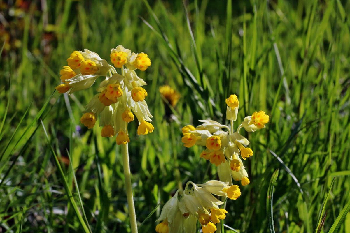 IMG-2016-04-29-00013012p_Bildgr��e �ndern