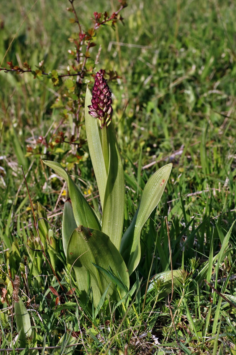 IMG-2016-04-29-00013017p_Bildgr��e �ndern