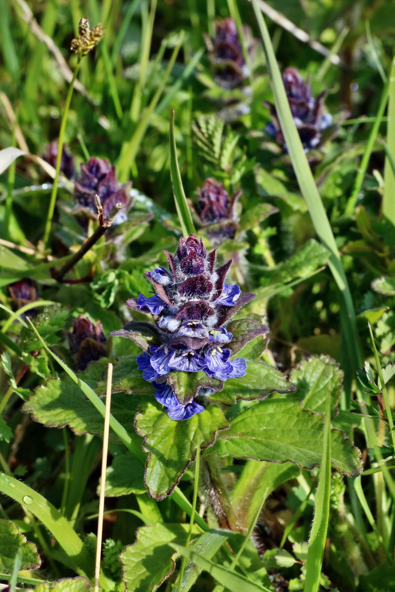 IMG-2016-04-29-00013021p_Bildgr��e �ndern