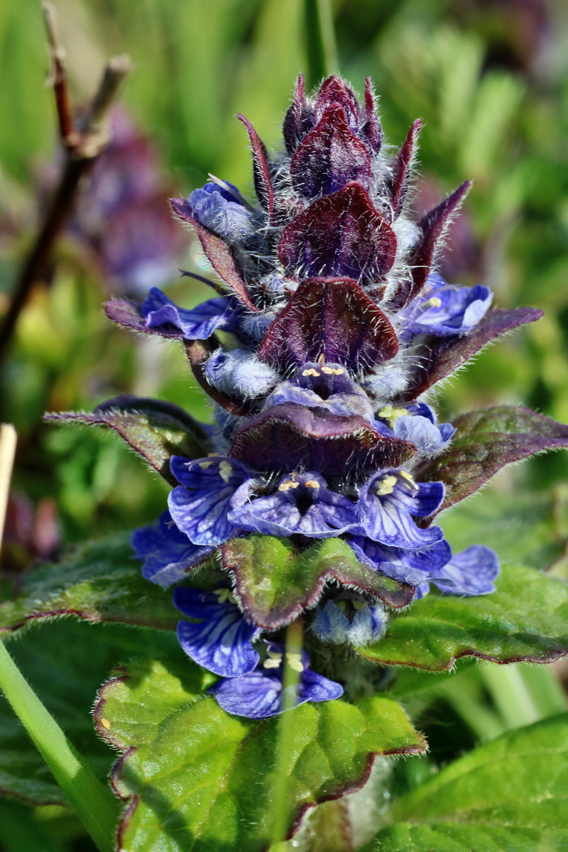 IMG-2016-04-29-00013024p_Bildgr��e �ndern