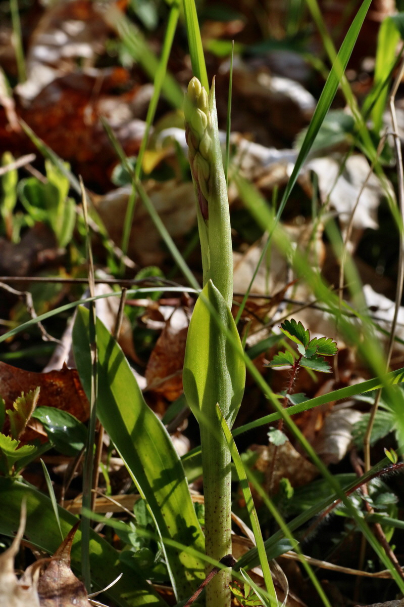 IMG-2016-04-29-00013031p_Bildgr��e �ndern