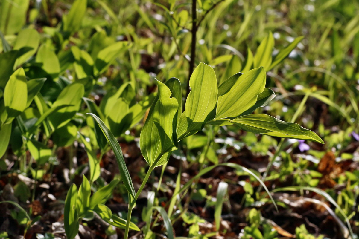 IMG-2016-04-29-00013034p_Bildgr��e �ndern