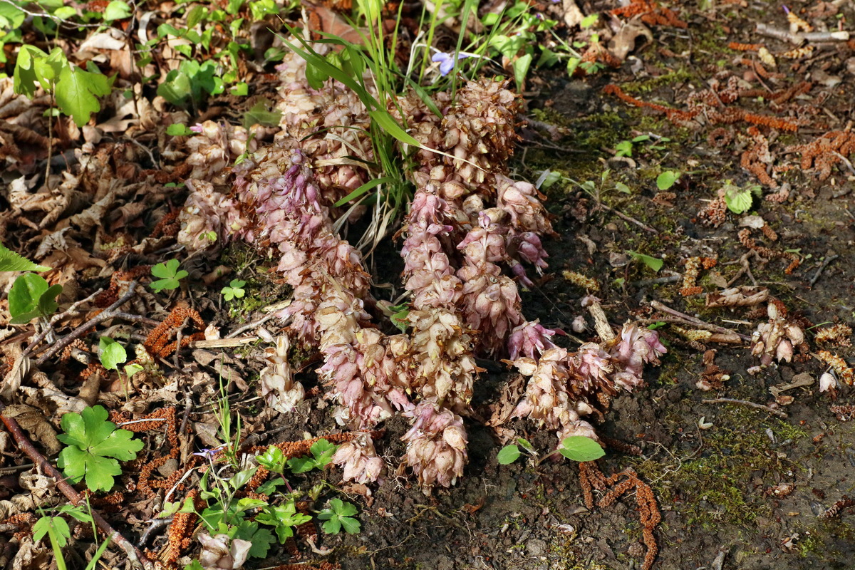 IMG-2016-04-29-00013039p_Bildgr��e �ndern