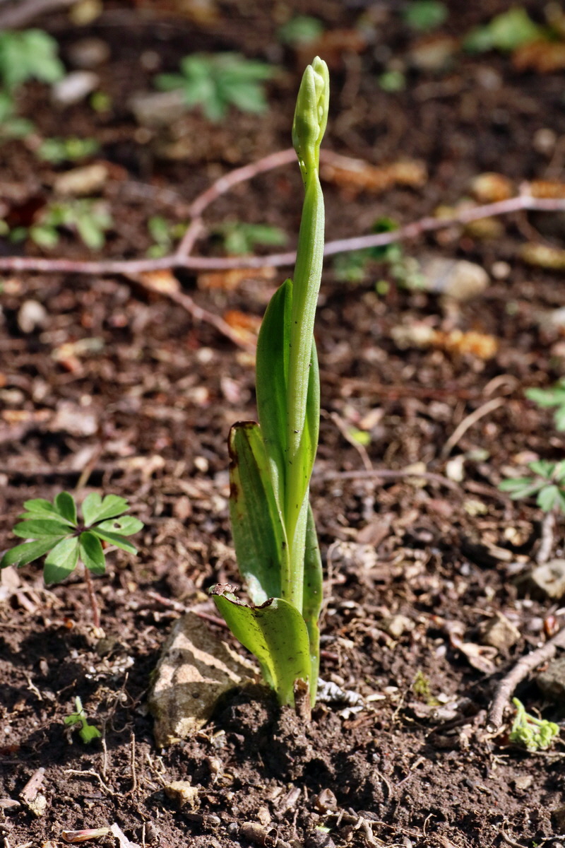 IMG-2016-04-29-00013042p_Bildgr��e �ndern