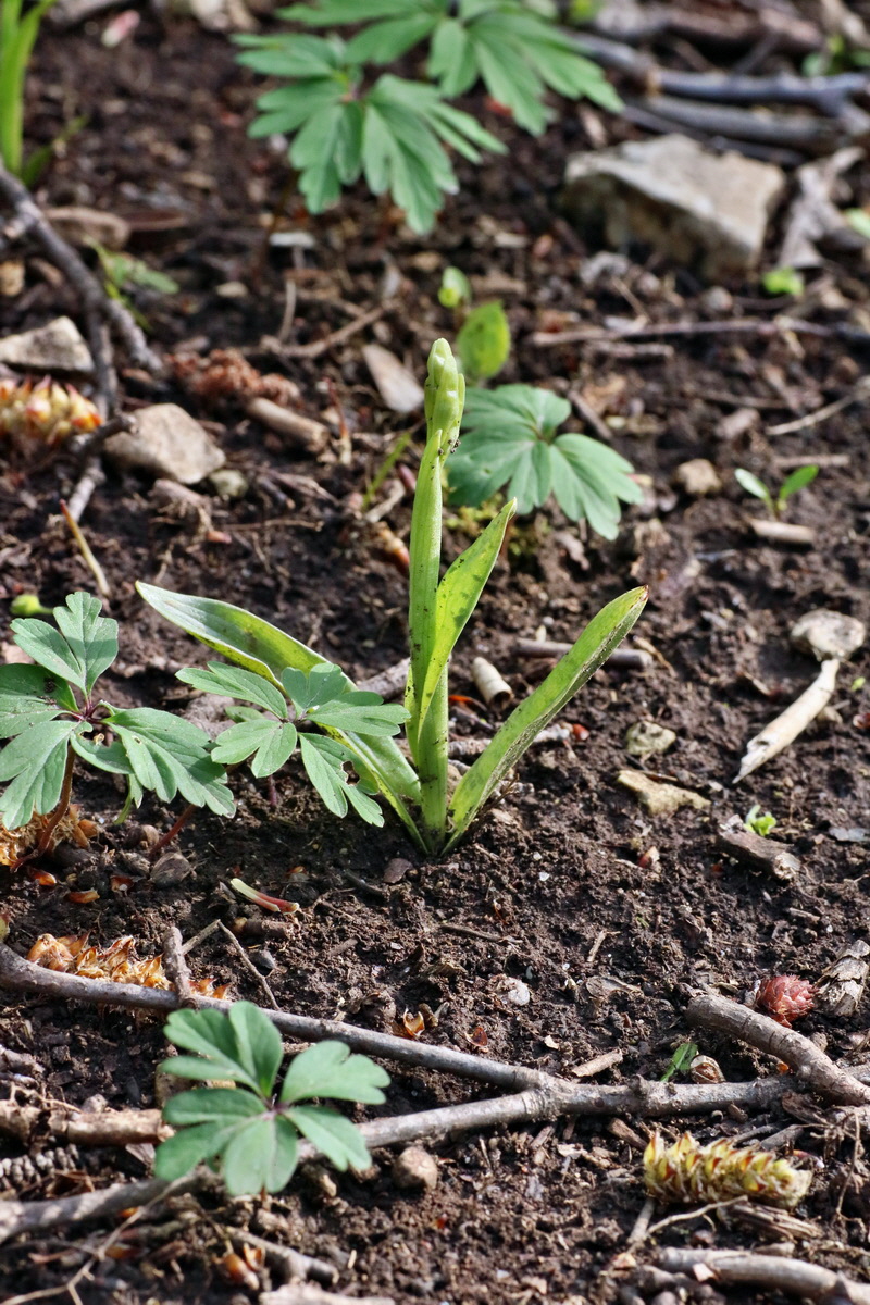 IMG-2016-04-29-00013045p_Bildgr��e �ndern