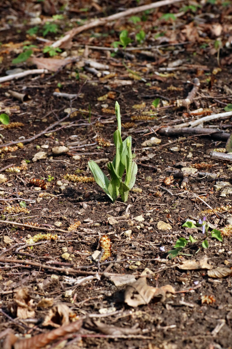 IMG-2016-04-29-00013048p_Bildgr��e �ndern