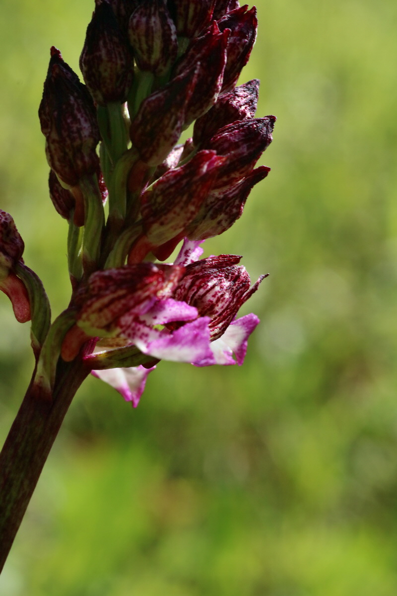 IMG-2016-04-29-00013052p_Bildgr��e �ndern