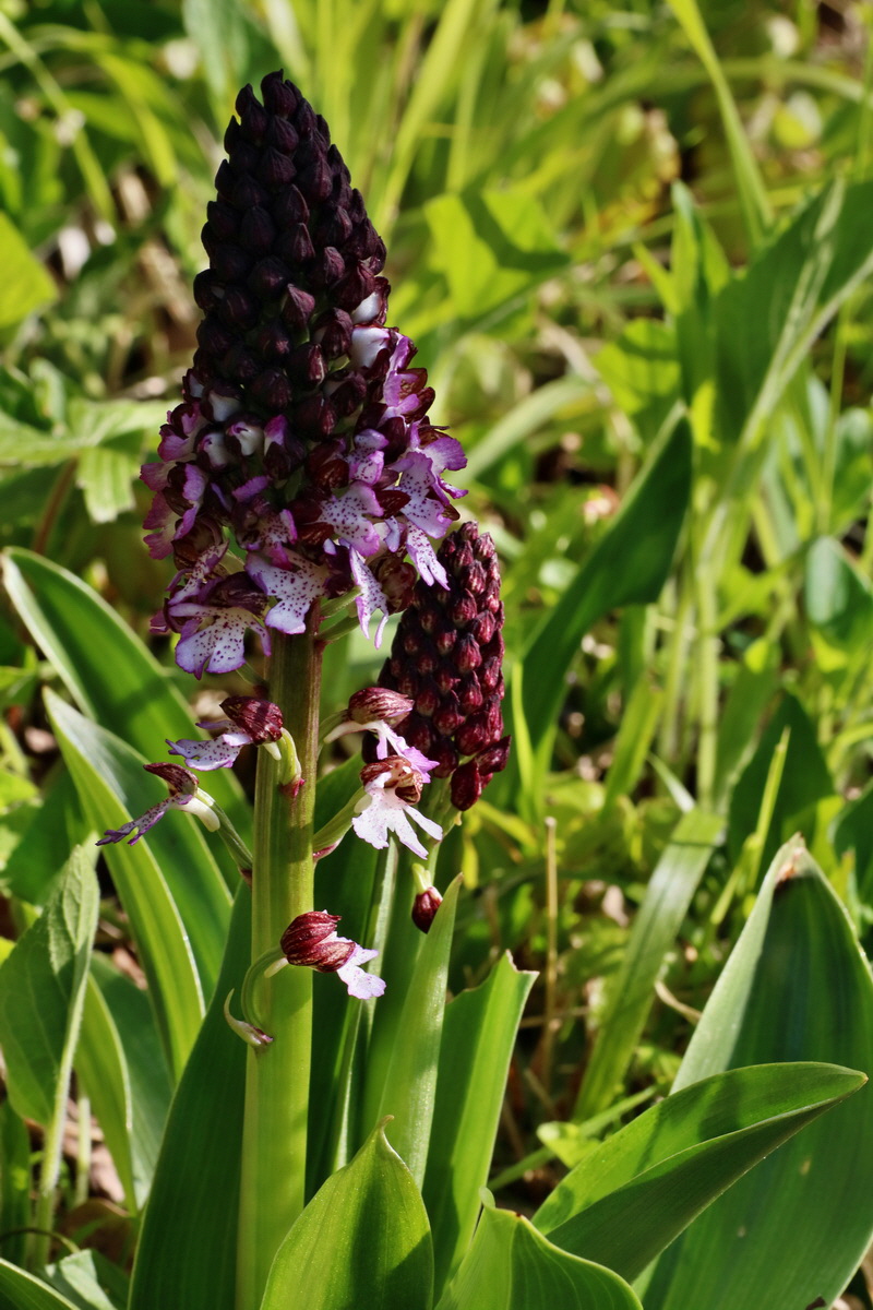 IMG-2016-04-29-00013058p_Bildgr��e �ndern