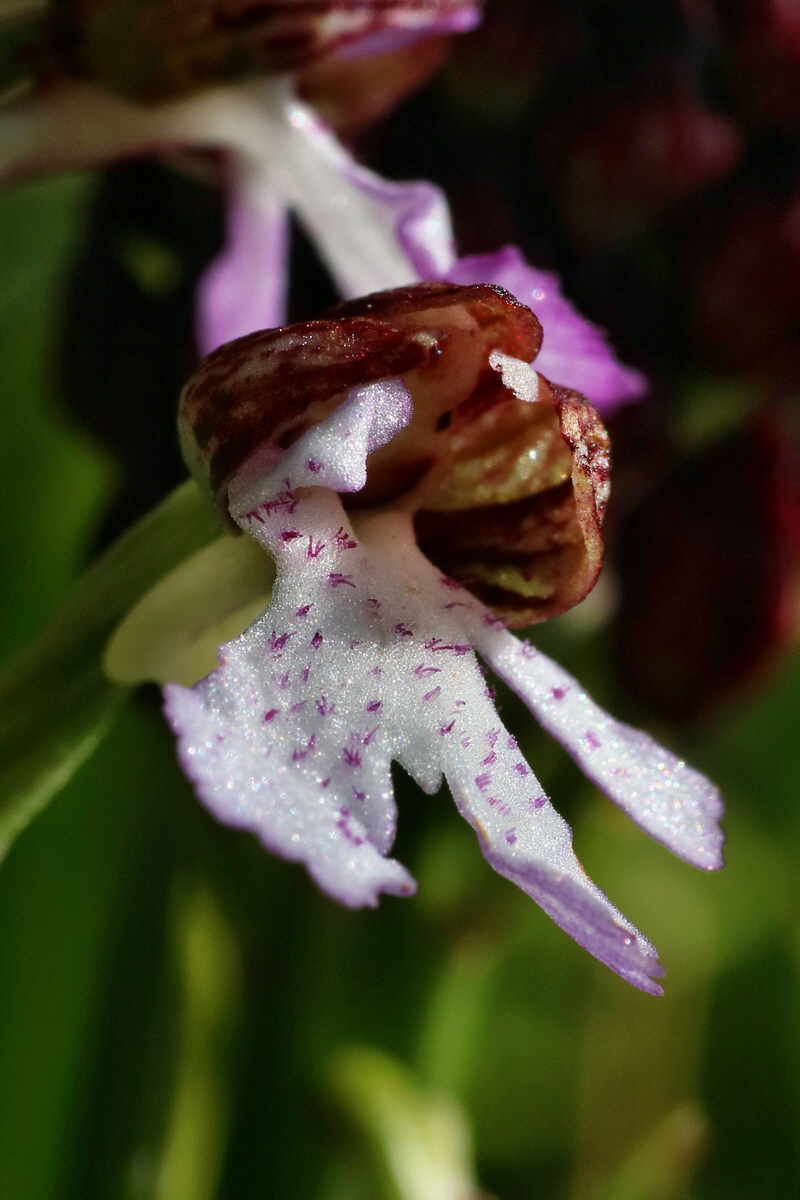 IMG-2016-04-29-00013061p_Bildgr��e �ndern