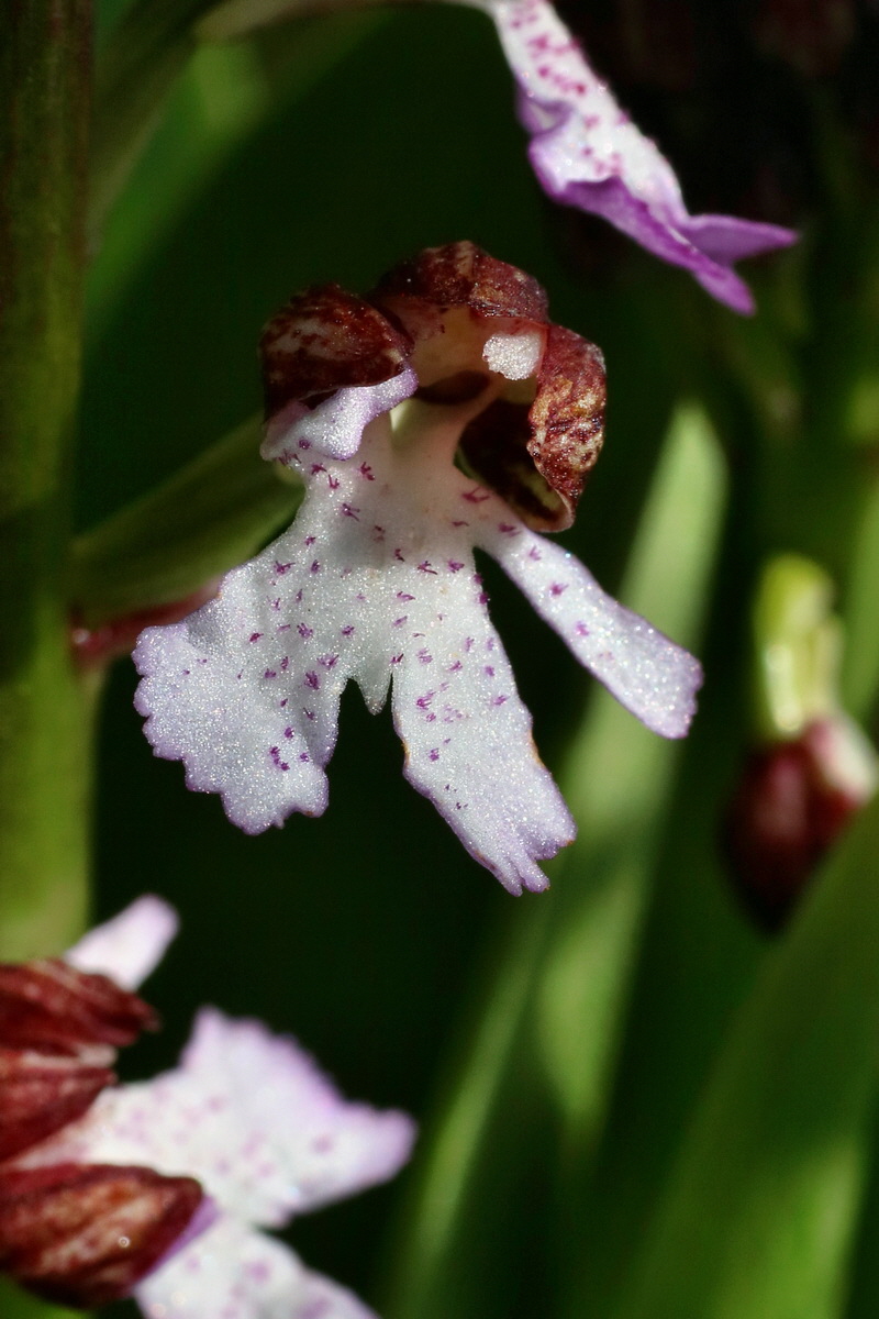 IMG-2016-04-29-00013063p_Bildgr��e �ndern