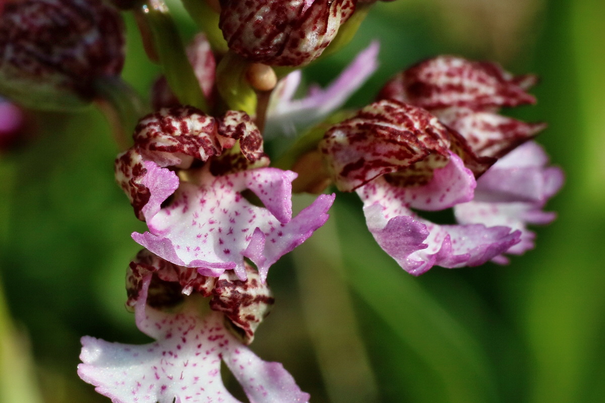 IMG-2016-04-29-00013067p_Bildgr��e �ndern