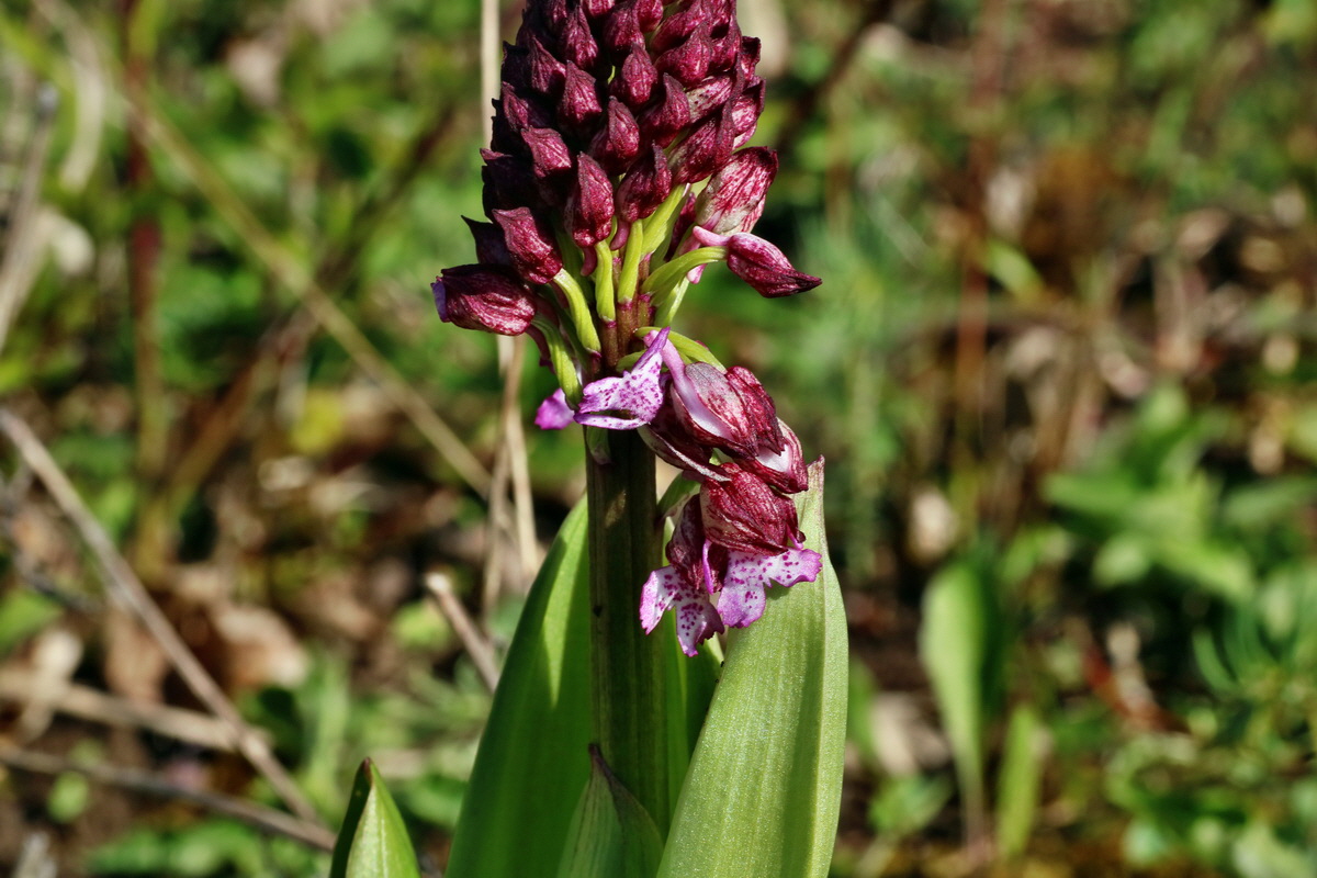 IMG-2016-04-29-00013068p_Bildgr��e �ndern