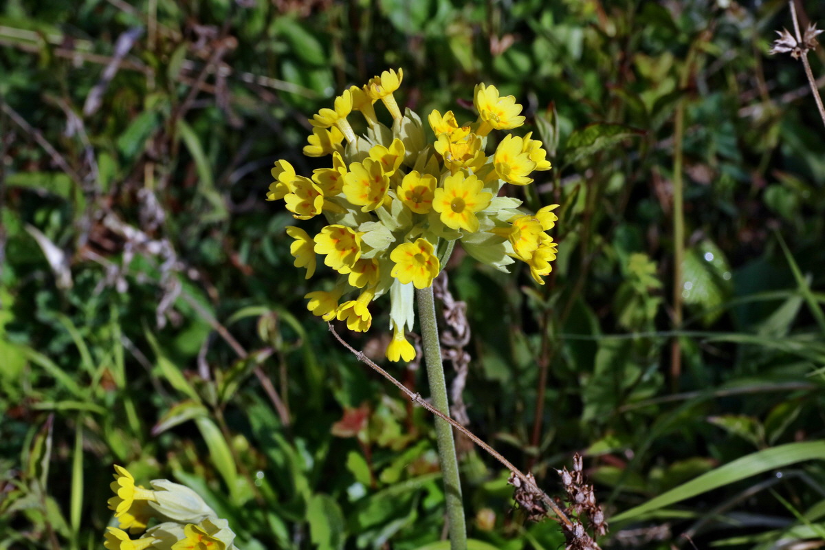 IMG-2016-04-29-00013072p_Bildgr��e �ndern