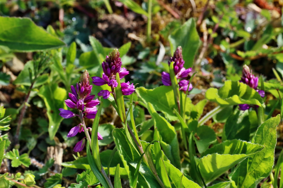 IMG-2016-04-29-00013077p_Bildgr��e �ndern