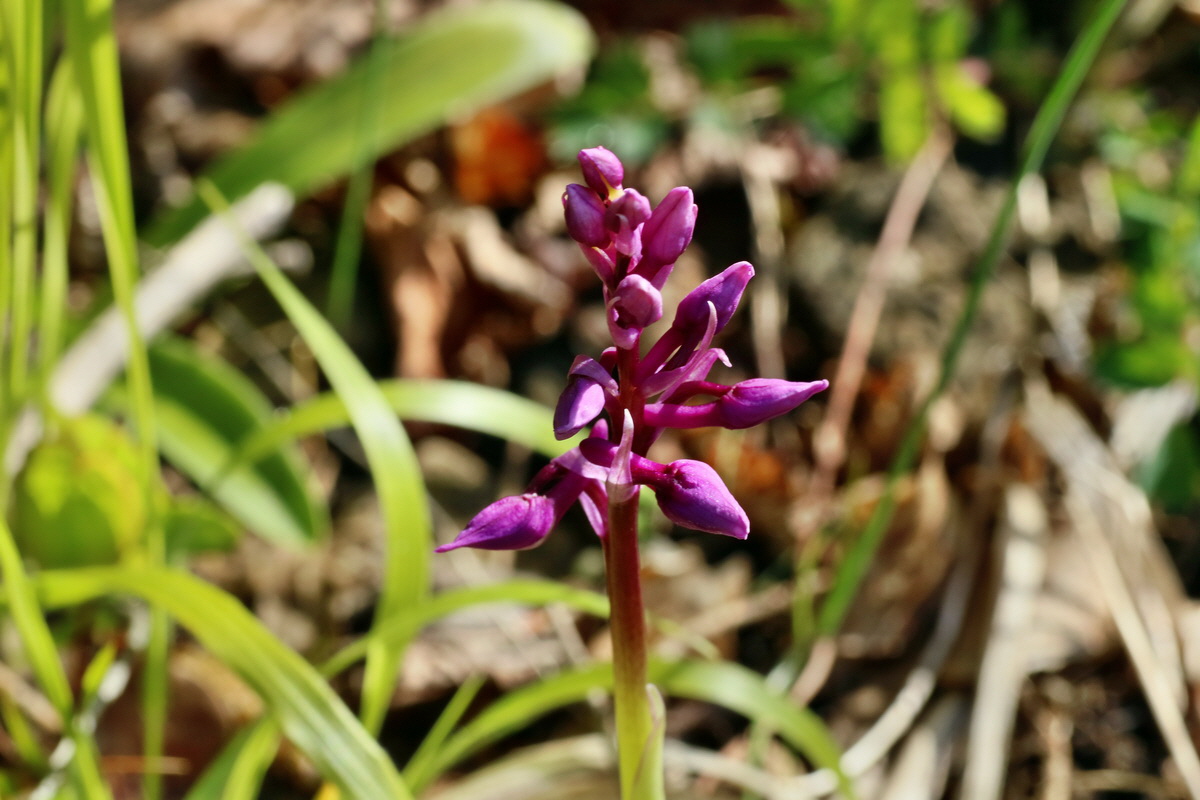 IMG-2016-04-29-00013083p_Bildgr��e �ndern