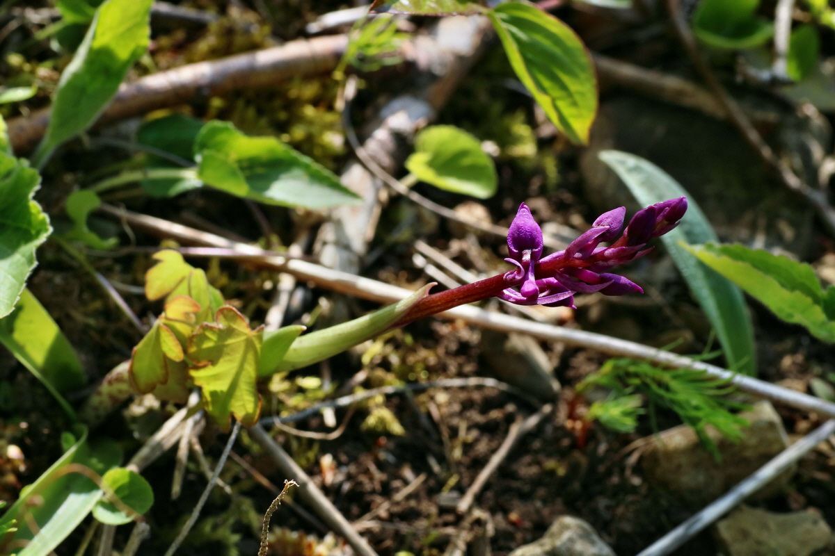 IMG-2016-04-29-00013086p_Bildgr��e �ndern