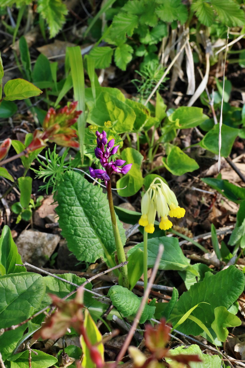 IMG-2016-04-29-00013089p_Bildgr��e �ndern