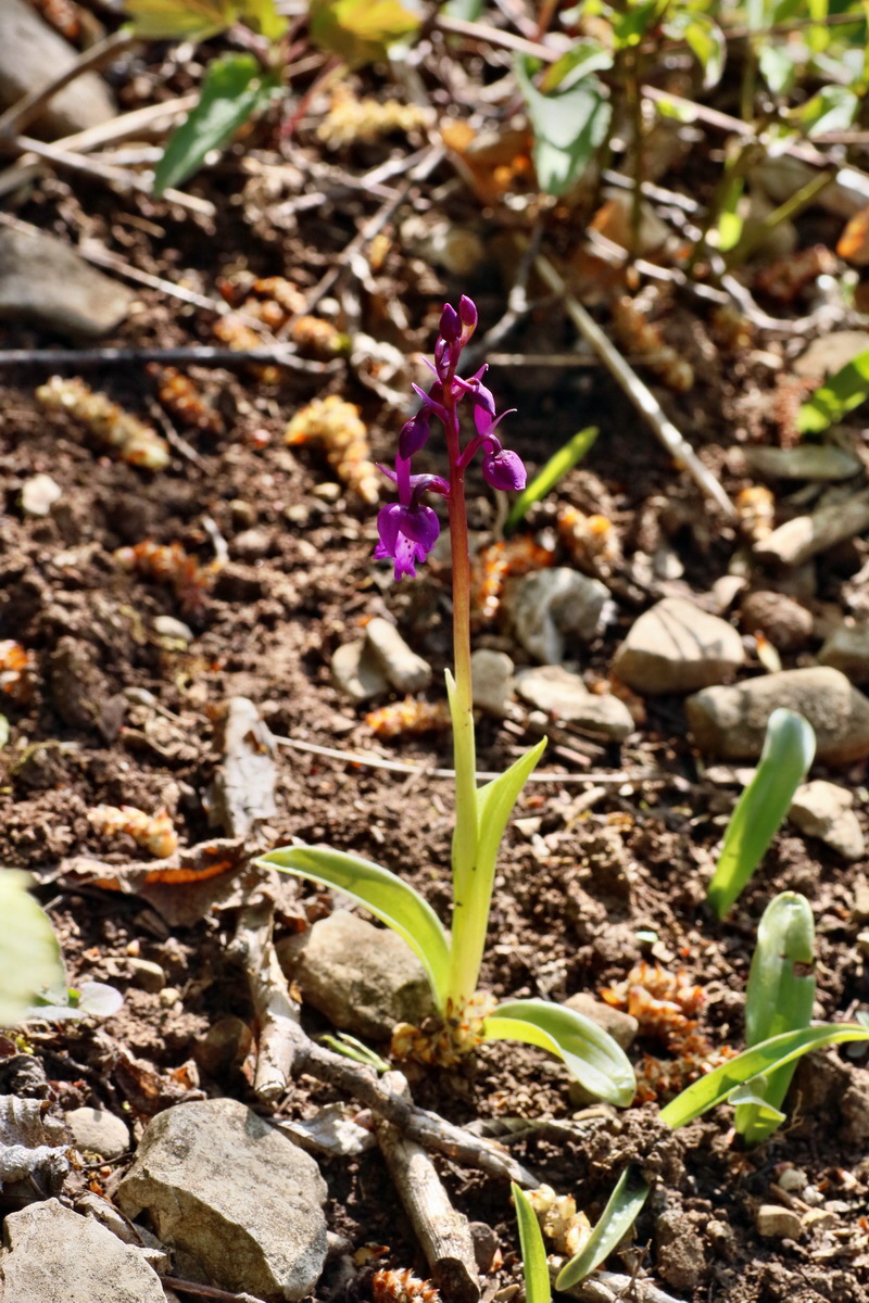 IMG-2016-04-29-00013092p_Bildgr��e �ndern