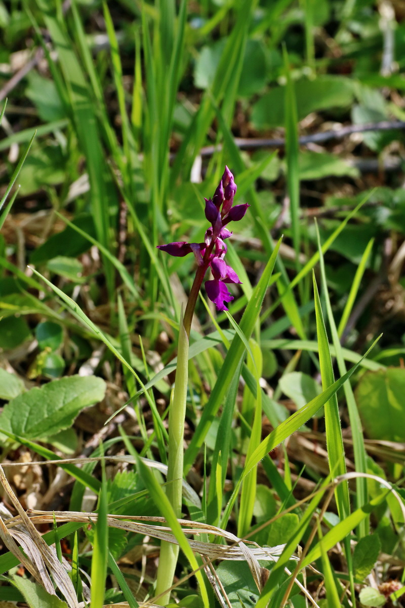 IMG-2016-04-29-00013098p_Bildgr��e �ndern