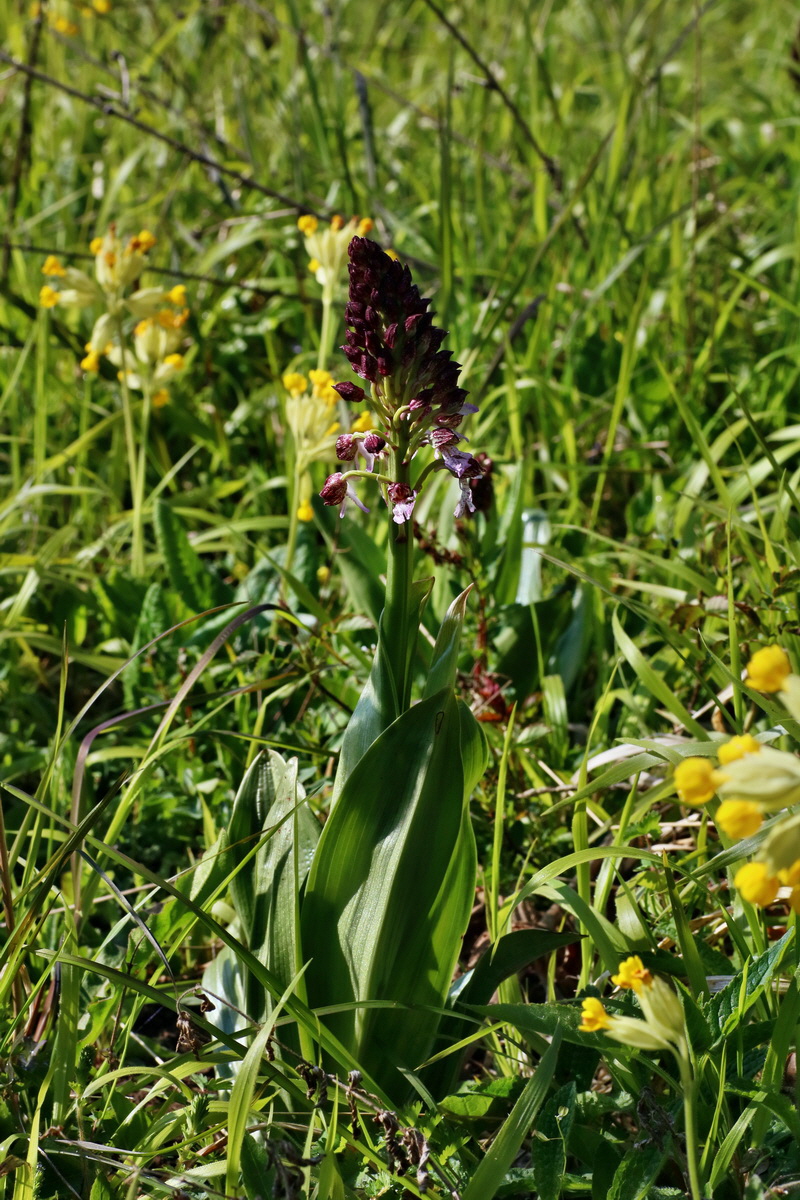 IMG-2016-04-29-00013105p_Bildgr��e �ndern