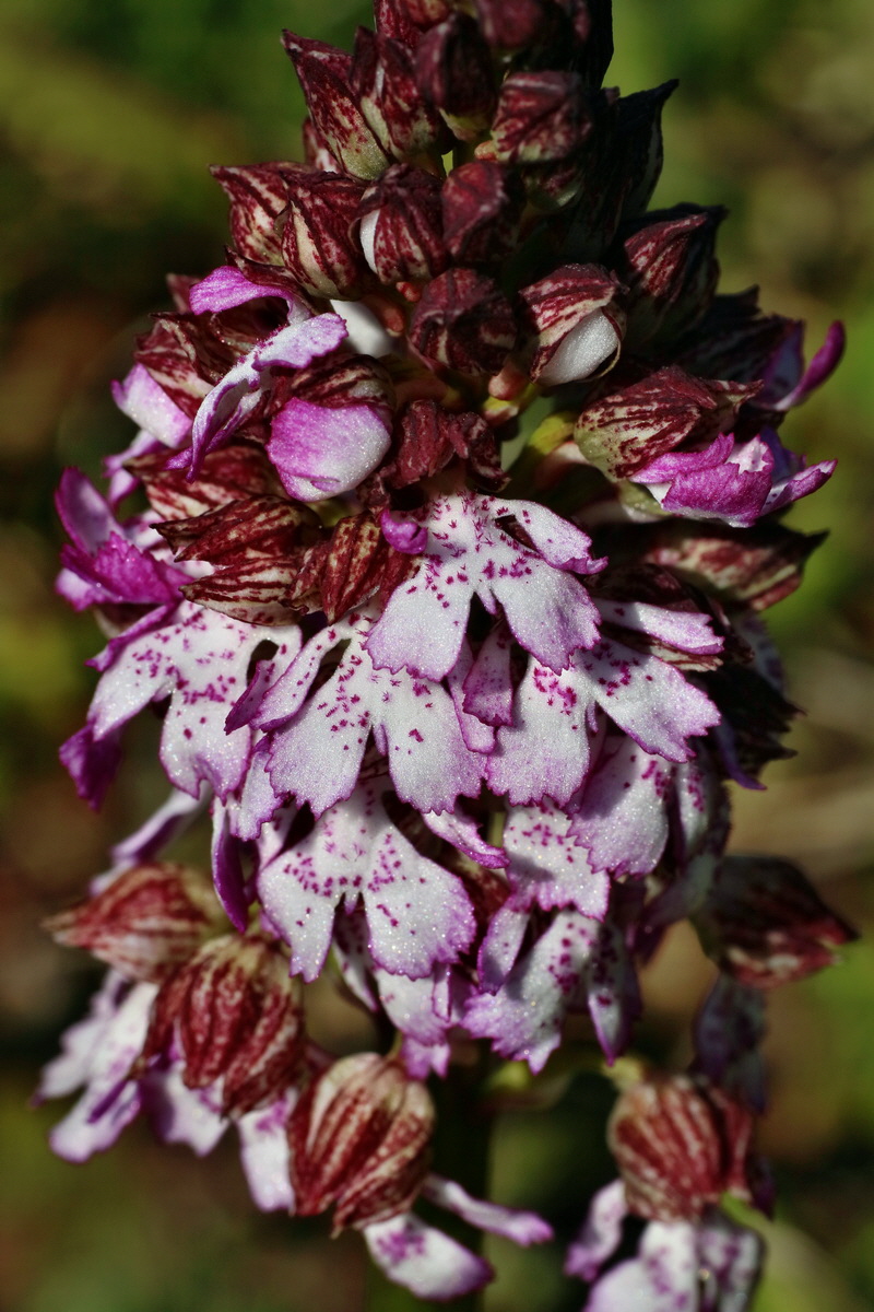 IMG-2016-04-29-00013112p_Bildgr��e �ndern