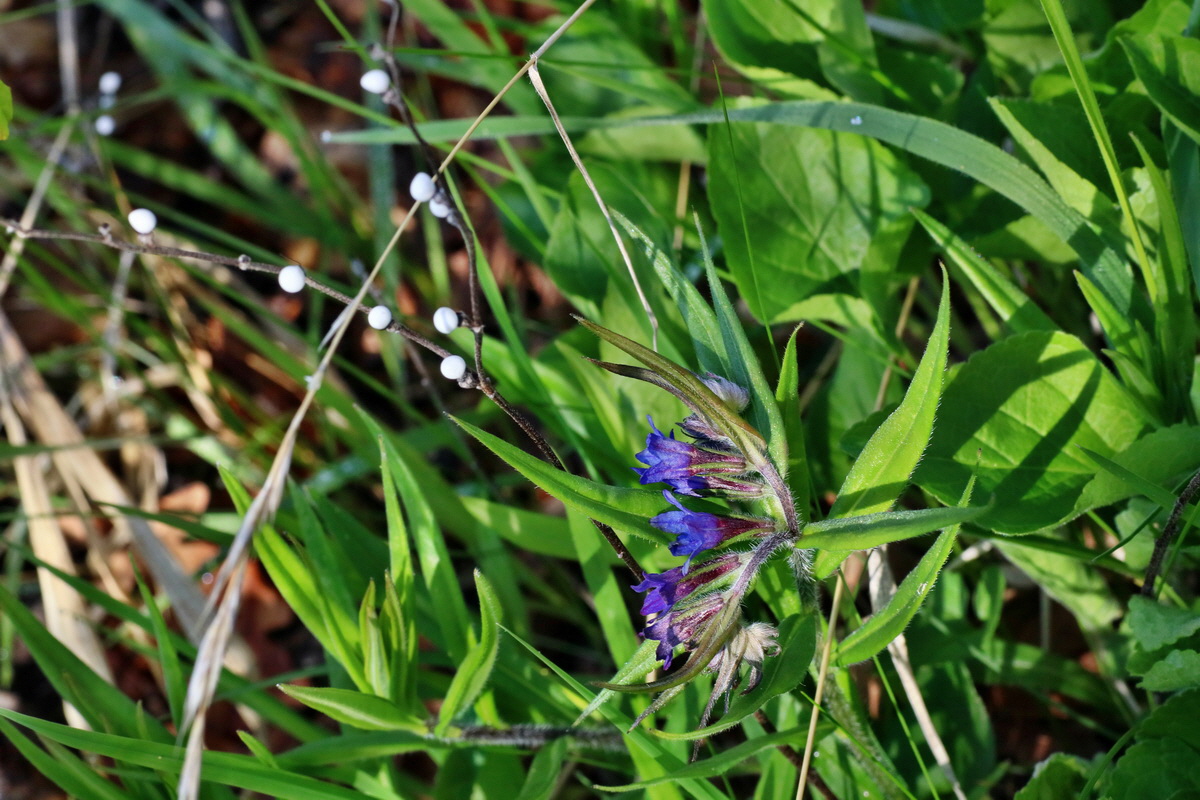 IMG-2016-04-29-00013121p_Bildgr��e �ndern