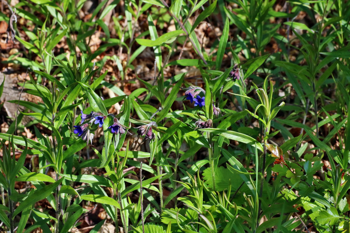 IMG-2016-04-29-00013127p_Bildgr��e �ndern