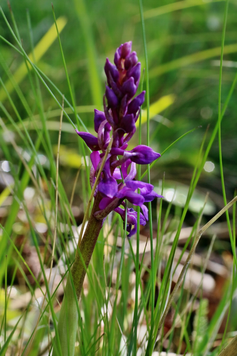 IMG-2016-04-29-00013132p_Bildgr��e �ndern