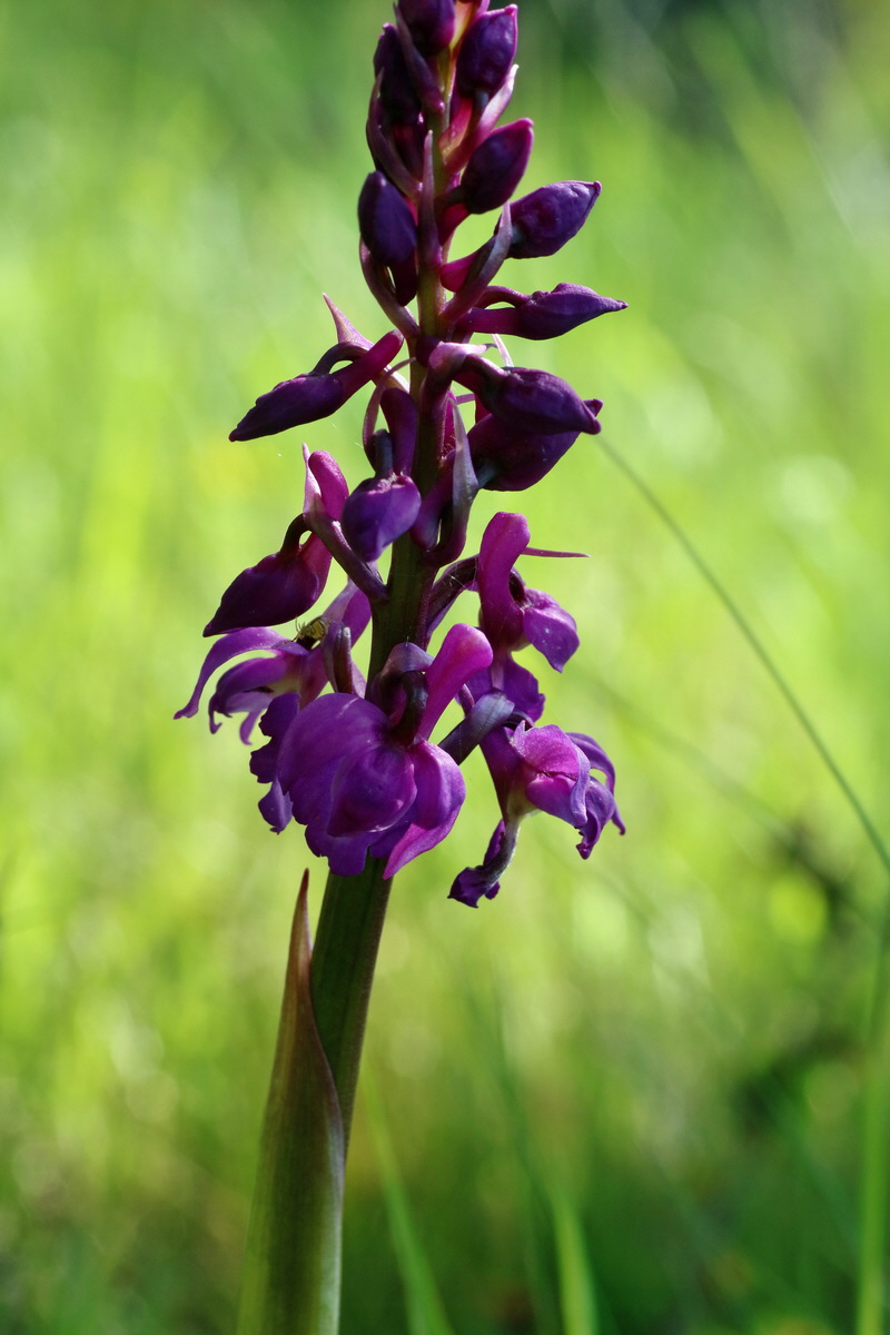 IMG-2016-04-29-00013134p_Bildgr��e �ndern