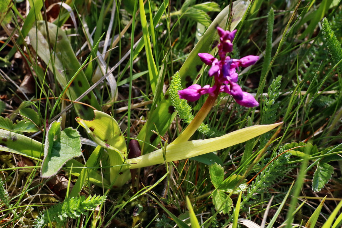 IMG-2016-04-29-00013144p_Bildgr��e �ndern