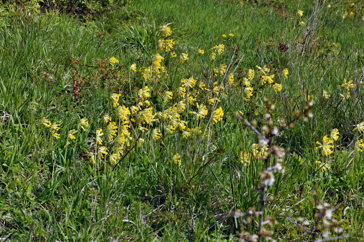 IMG-2016-04-29-00013147p_Bildgr��e �ndern