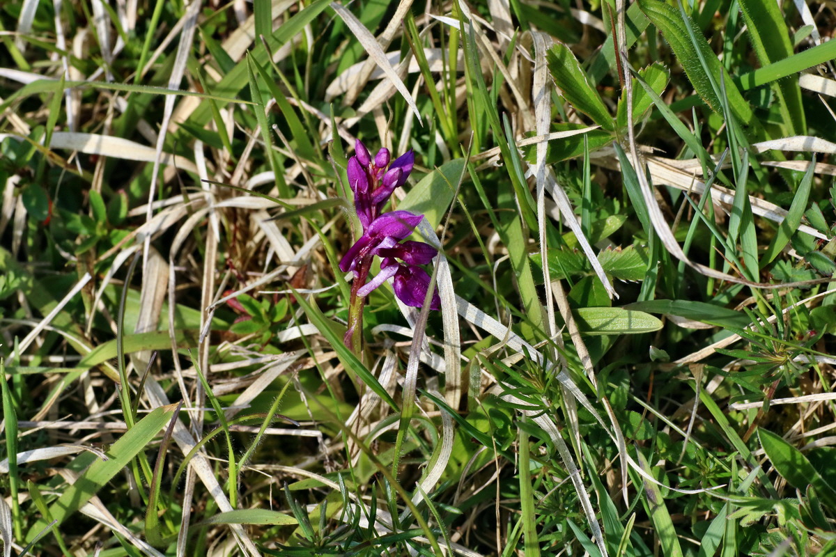 IMG-2016-04-29-00013149p_Bildgr��e �ndern