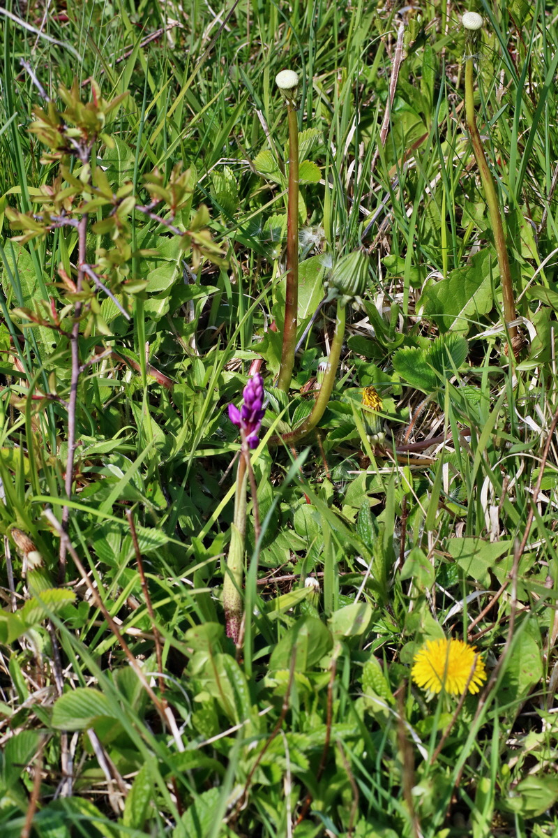 IMG-2016-04-29-00013152p_Bildgr��e �ndern