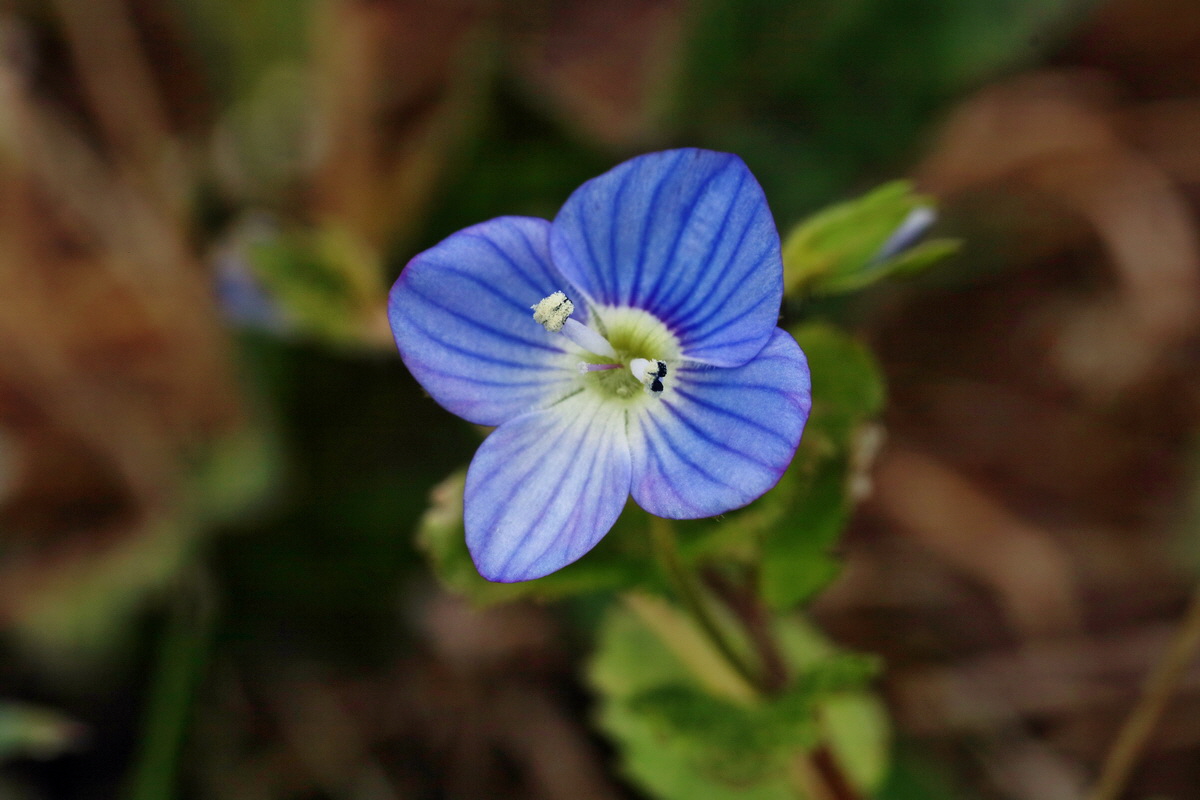 IMG-2016-04-29-00013154p_Bildgr��e �ndern