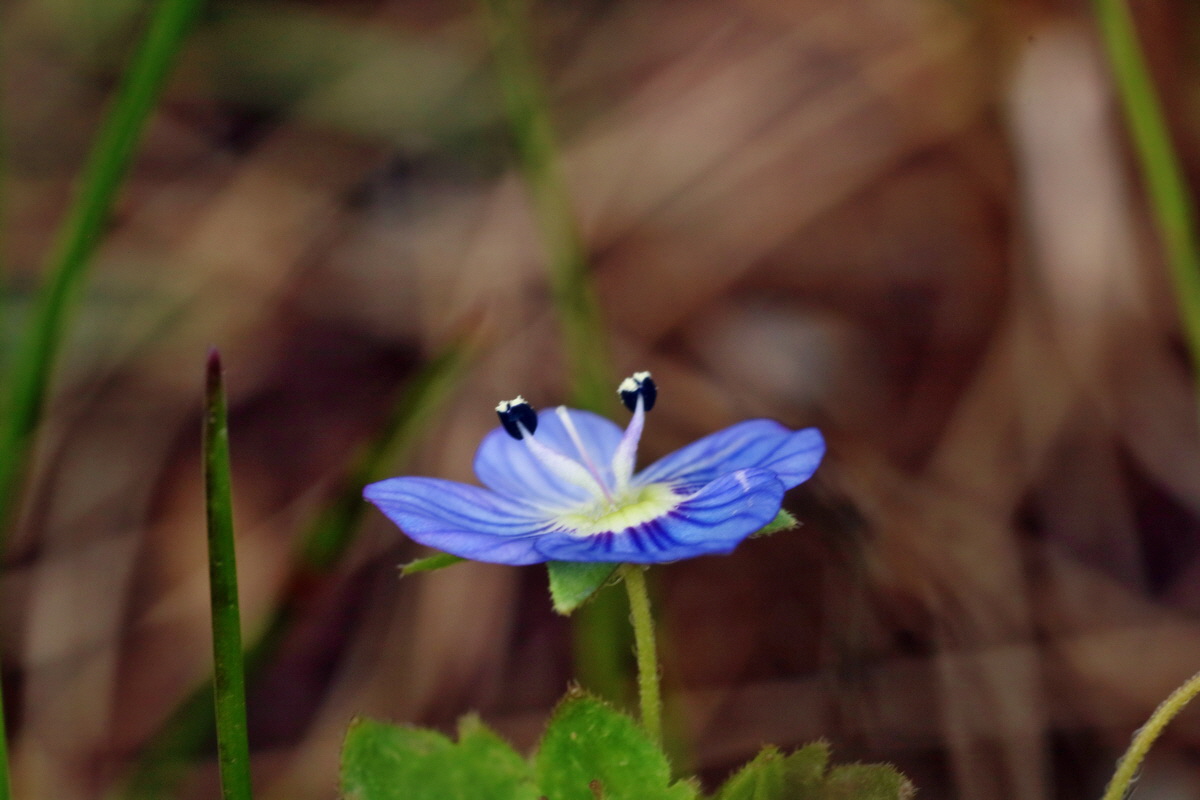 IMG-2016-04-29-00013158p_Bildgr��e �ndern