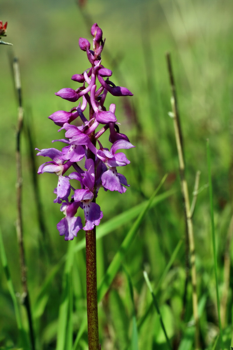 IMG-2016-04-29-00013171p_Bildgr��e �ndern